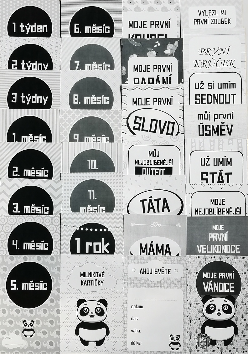 Dětské milníkové kartičky Panda