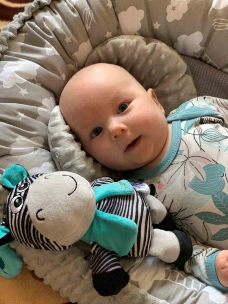 Dětská plyšová hračka s melodií Zebra