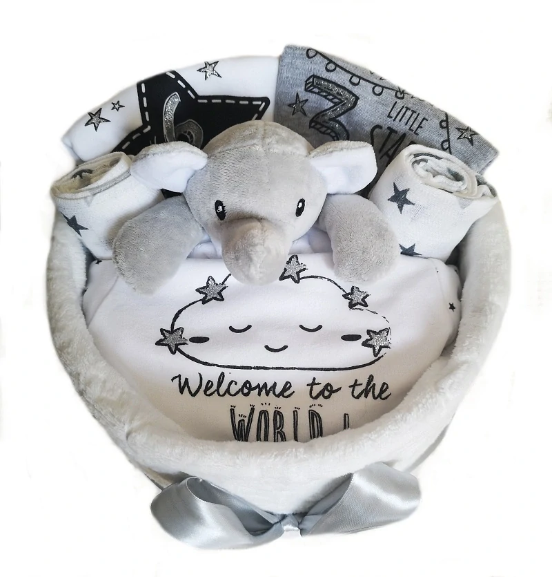 Brumlík dort dárkový balíček Welcome to the world 2